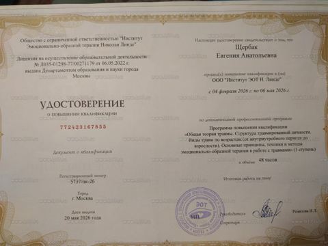 Общая теория травмы и работа с травмами в ЭОТ